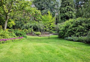 Optimiser l'expérience du jardin à Courban