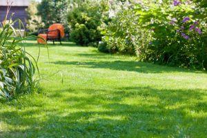 travaux jardin et paysage Courban